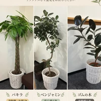 画像302