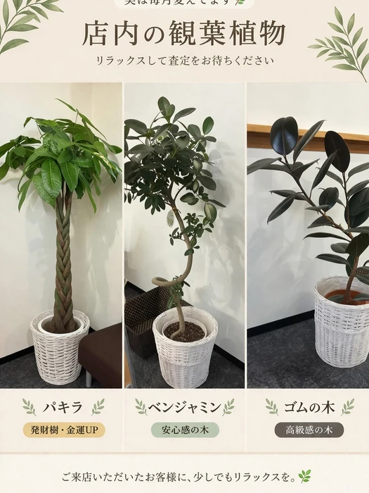 画像302