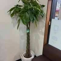 画像303