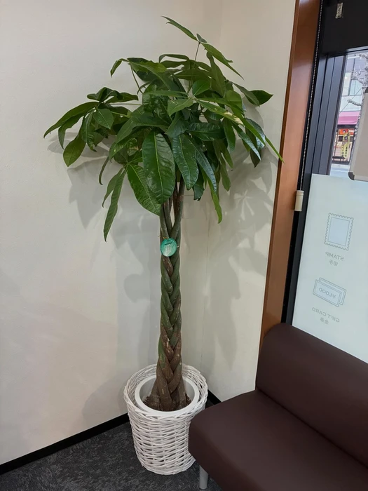 画像303