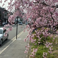 画像340