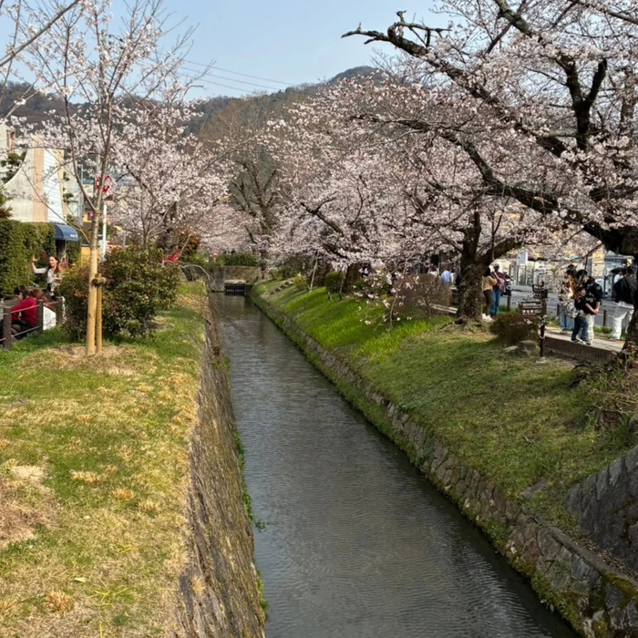 画像342