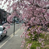 画像352