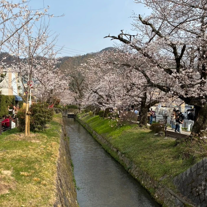 画像354