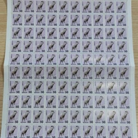 画像417