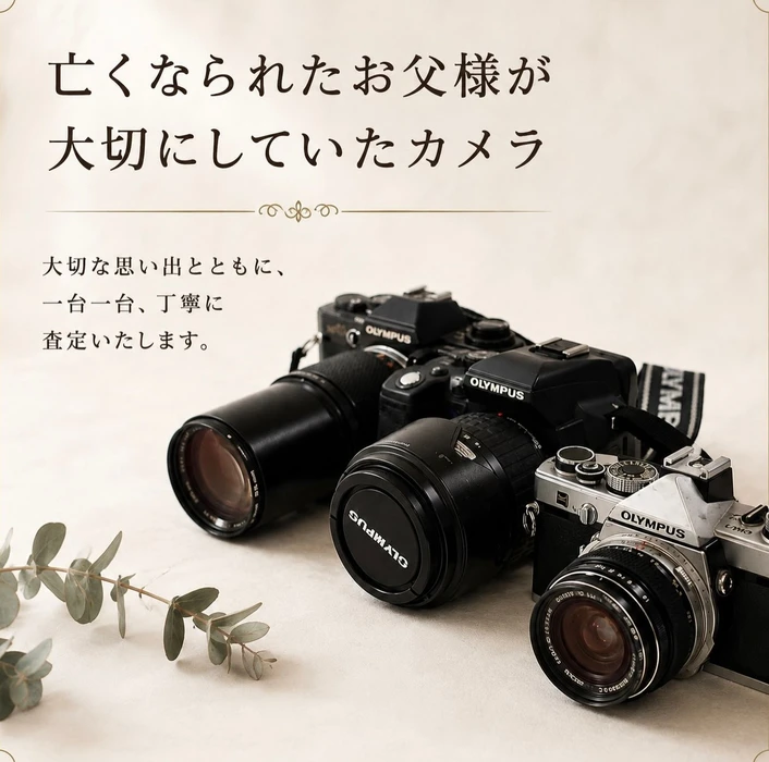 画像537